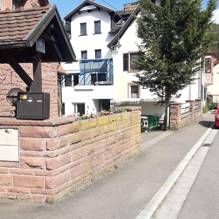 Grosse Wohnung Im Odenwald 1 Schonau  Luaran gambar